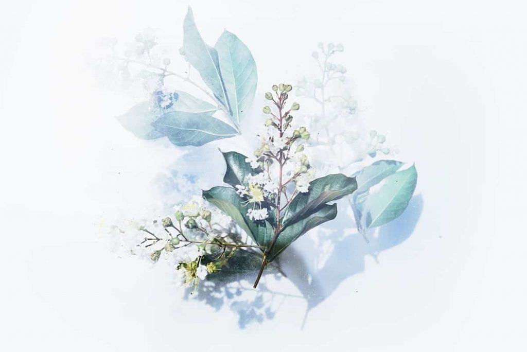 evie s kqJfP lrl 8 unsplash